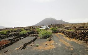Manoa Eco House